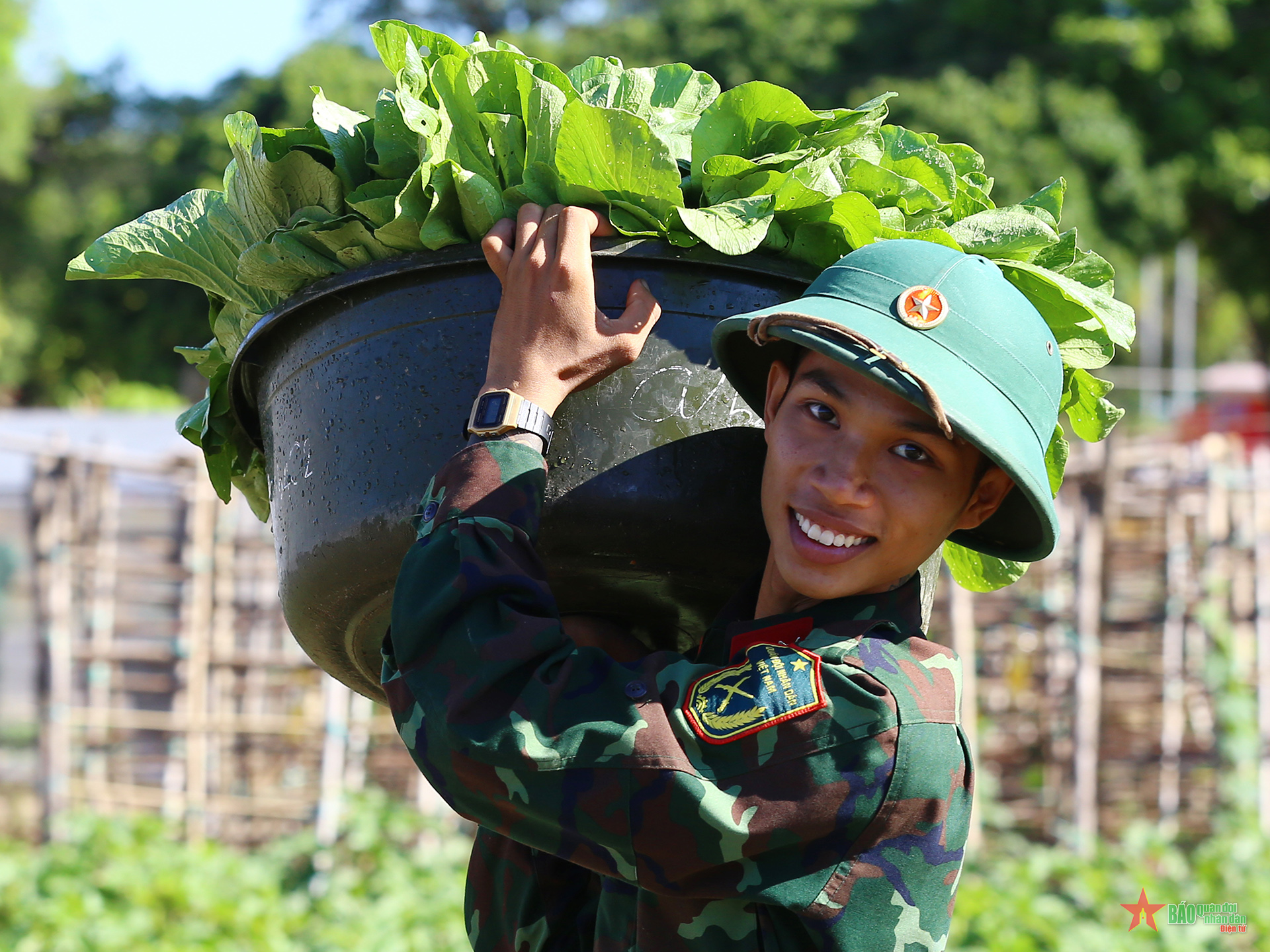 Chiến sĩ nuôi quân 